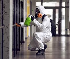 Best Emergency Mold Remediation  in Crete, NE